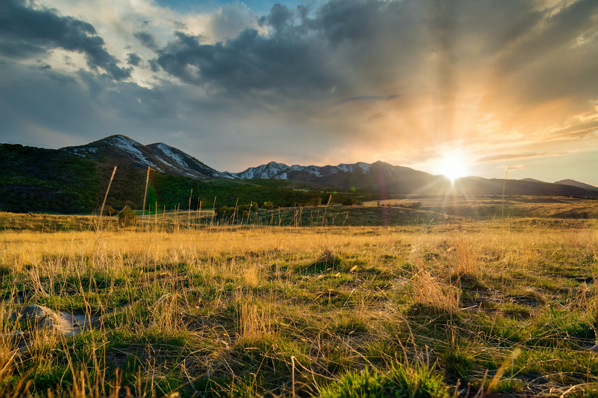 Golden grass field and mountains at sunset in the Utah high country